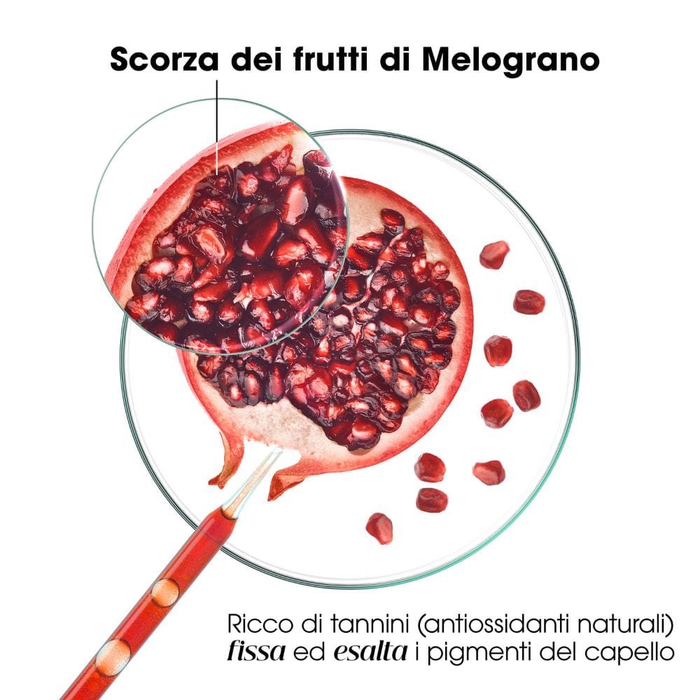 KLORANE SHAMPOO MELOGRANO 400 ML