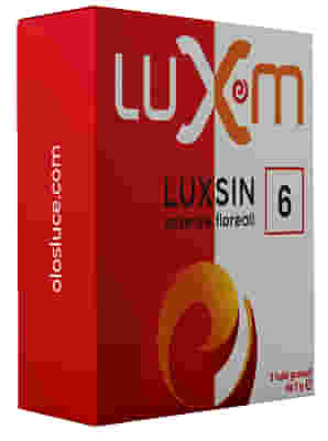 LUXSIN 6 GRANULI 3 G