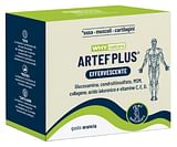 WHYNATURE ARTEF PLUS 24 BUSTINE