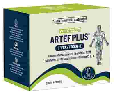 WHYNATURE ARTEF PLUS 24 BUSTINE