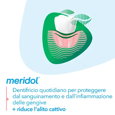 MERIDOL PROTEZIONE GENGIVE ALITO FRESCO 75 ML MERIDOL PROTEZIONE GENGIVE ALITO FRESCO 75 ML