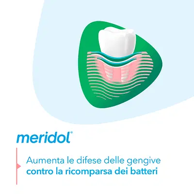 MERIDOL PROTEZIONE GENGIVE ALITO FRESCO 75 ML MERIDOL PROTEZIONE GENGIVE ALITO FRESCO 75 ML