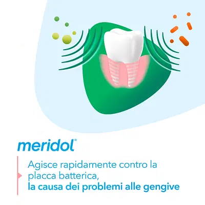 MERIDOL PROTEZIONE GENGIVE ALITO FRESCO 75 ML MERIDOL PROTEZIONE GENGIVE ALITO FRESCO 75 ML