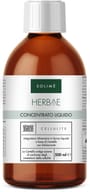 CONCENTRATO LIQUIDO CELLULITE 500 ML