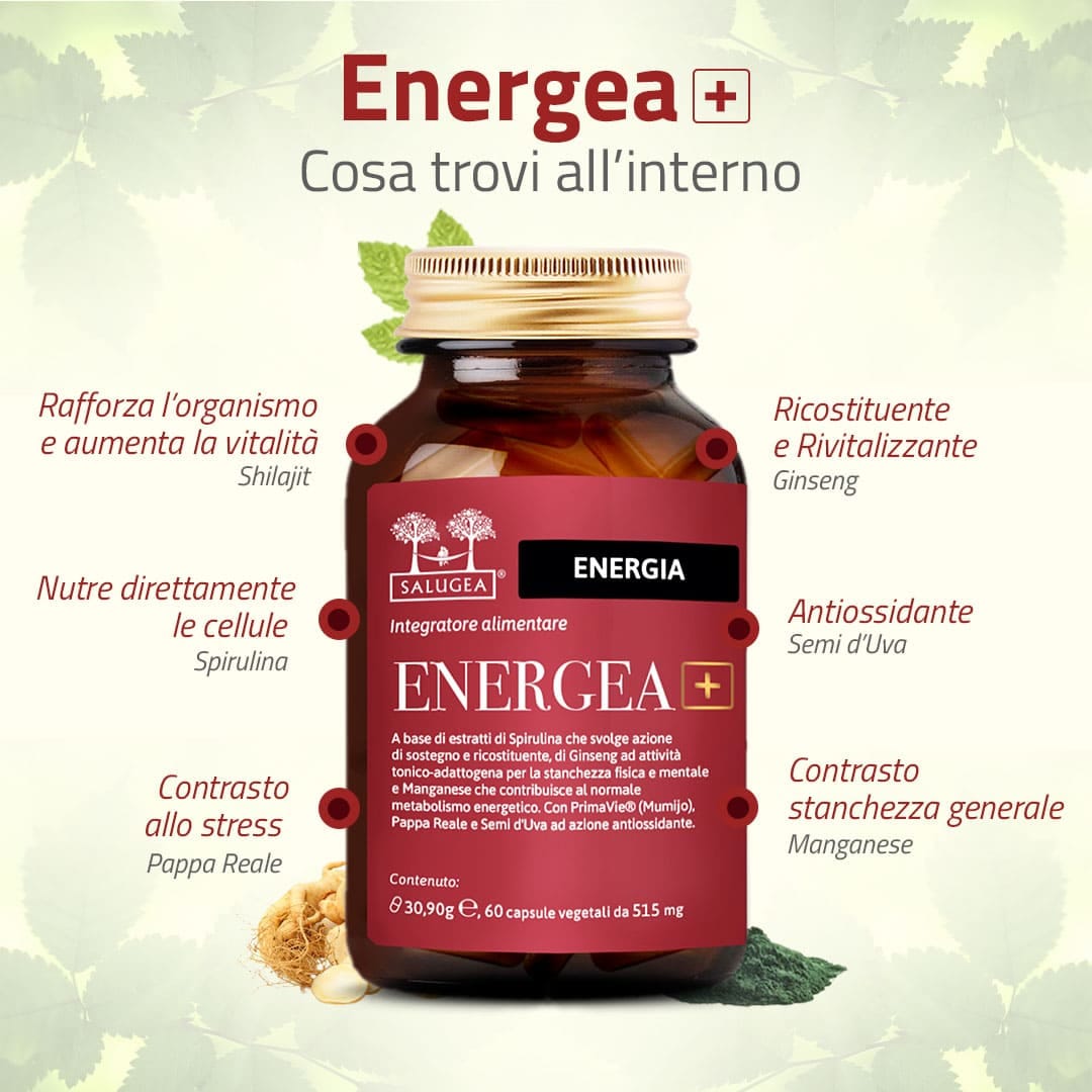 SALUGEA ENERGEA+ 60 CAPSULE