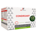 CONDROART 30 BUSTINE