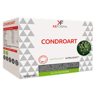 CONDROART 30 BUSTINE