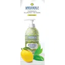 FLAVOURS ART SAPONE LIQUIDO MAESTRALE 500 ML