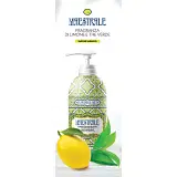 FLAVOURS ART SAPONE LIQUIDO MAESTRALE 500 ML
