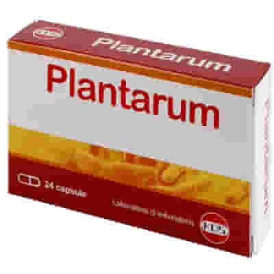 PLANTARUM 10 MILIARDI 24 CAPSULE