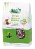 EUPIN PASTIGLIE BALSAMICHE 80 G