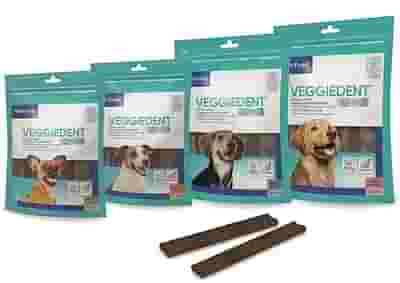 VEGGIEDENT FR3SH L 15 STICK