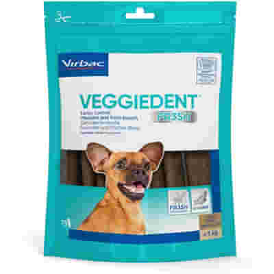 VEGGIEDENT FR3SH XS 15 STICK