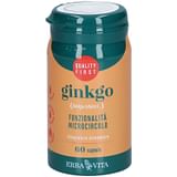 ERBA VITA GINKGO 60 CAPSULE