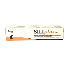 Siliplus Pasta 30 G