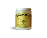 ARTROVIS POLVERE 360 G