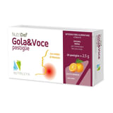 GOLA & VOCE SUGAR FREE ARANCIA 20 PASTIGLIE