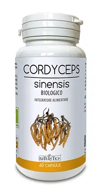 CORDYCEPS SINENSIS 60 CAPSULE CORDYCEPS SINENSIS 60 CAPSULE
