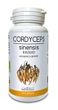CORDYCEPS SINENSIS 60 CAPSULE