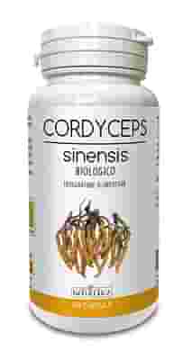 CORDYCEPS SINENSIS 60 CAPSULE