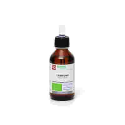 LAMPONE MACERATO GLICERICO 200 ML BIO