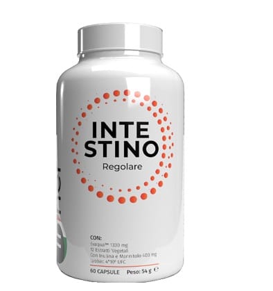 INNER INTESTINO REGOLARE 60 CAPSULE