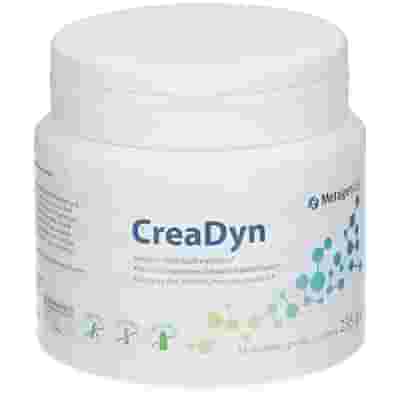 CREADYN 33 PORZIONI 293 G