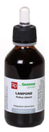 LAMPONE MACERATO GLICERICO 100 ML BIO