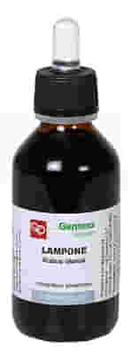 LAMPONE MACERATO GLICERICO 100 ML BIO