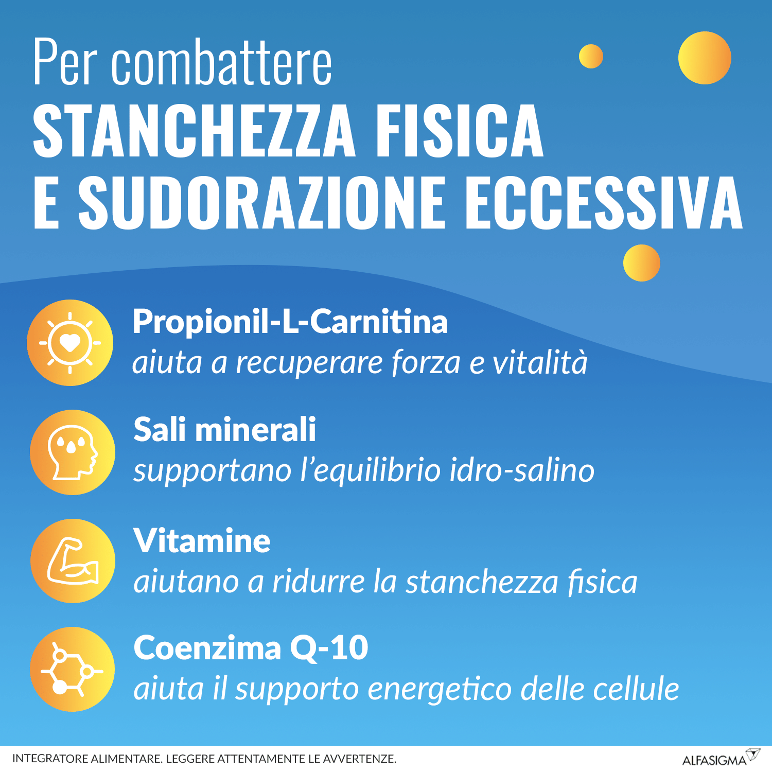 CARNIDYN FAST 12 BUSTINE