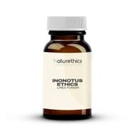 INONOTUS ETHICS 60 CAPSULE