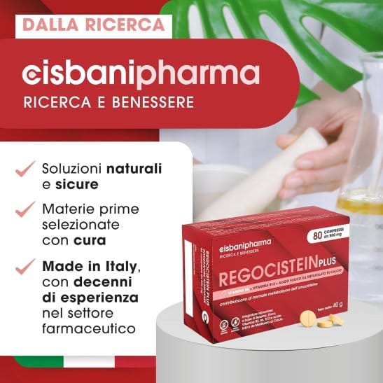 REGOCISTEIN PLUS 80 COMPRESSE