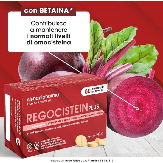 REGOCISTEIN PLUS 80 COMPRESSE