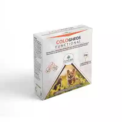 COLO GHEOS FUNCTIONAL 30 BUSTINE