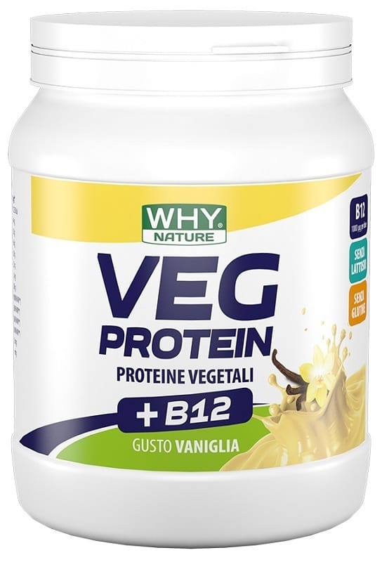 WHYNATURE VEG PROTEIN VANIGLIA 450 G