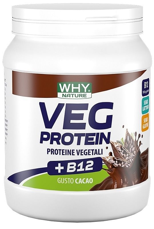 Whynature Veg Protein Cacao 450 G