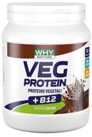 WHYNATURE VEG PROTEIN CACAO 450 G