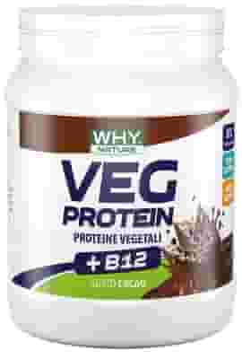 WHYNATURE VEG PROTEIN CACAO 450 G