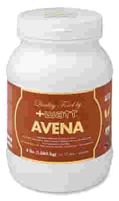 AVENA QUALITY FOOD CACAO 1,36 KG