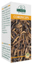 CORDYCEPS 180 PASTIGLIE