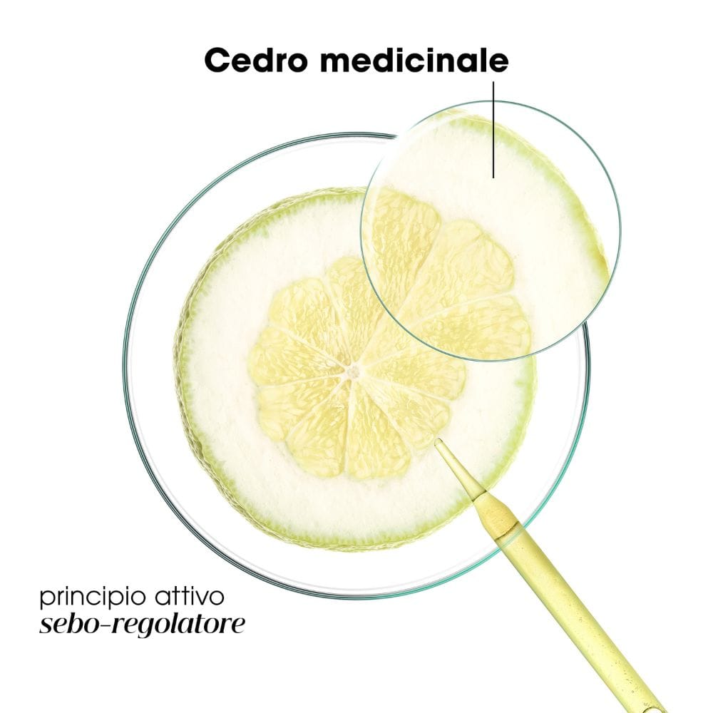 KLORANE SHAMPOO PURIFYING AL CEDRO 400 ML