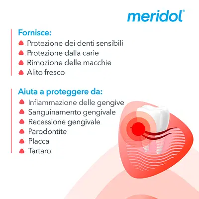 MERIDOL DENTIFRICIO PROTEZIONE COMPLETA 75 ML MERIDOL DENTIFRICIO PROTEZIONE COMPLETA 75 ML