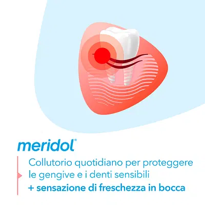 MERIDOL COLLUTORIO PROTEZIONE COMPLETA SENZA ALCOOL 400 ML MERIDOL COLLUTORIO PROTEZIONE COMPLETA SENZA ALCOOL 400 ML