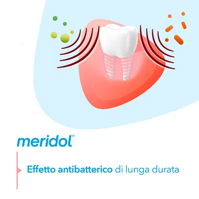 MERIDOL COLLUTORIO PROTEZIONE COMPLETA SENZA ALCOOL 400 ML MERIDOL COLLUTORIO PROTEZIONE COMPLETA SENZA ALCOOL 400 ML