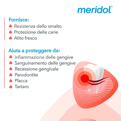 MERIDOL COLLUTORIO PROTEZIONE COMPLETA SENZA ALCOOL 400 ML MERIDOL COLLUTORIO PROTEZIONE COMPLETA SENZA ALCOOL 400 ML