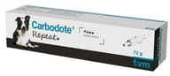 CARBODOTE REPEAT THERAPET PASTA APPETIBILE IN SIRINGA 72 G