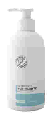 FORMULA DETERGENTE PURIFICANTE 250 ML