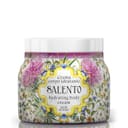 MAIOLICHE CREMA CORPO SALENTO 450 ML