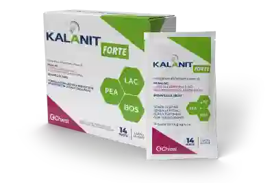 KALANIT FORTE GUSTO LIMONE 14 BUSTE SENZA GLUTINE, SENZA LATTOSIO, SENZA ZUCCHERI, CON EDULCORANTI