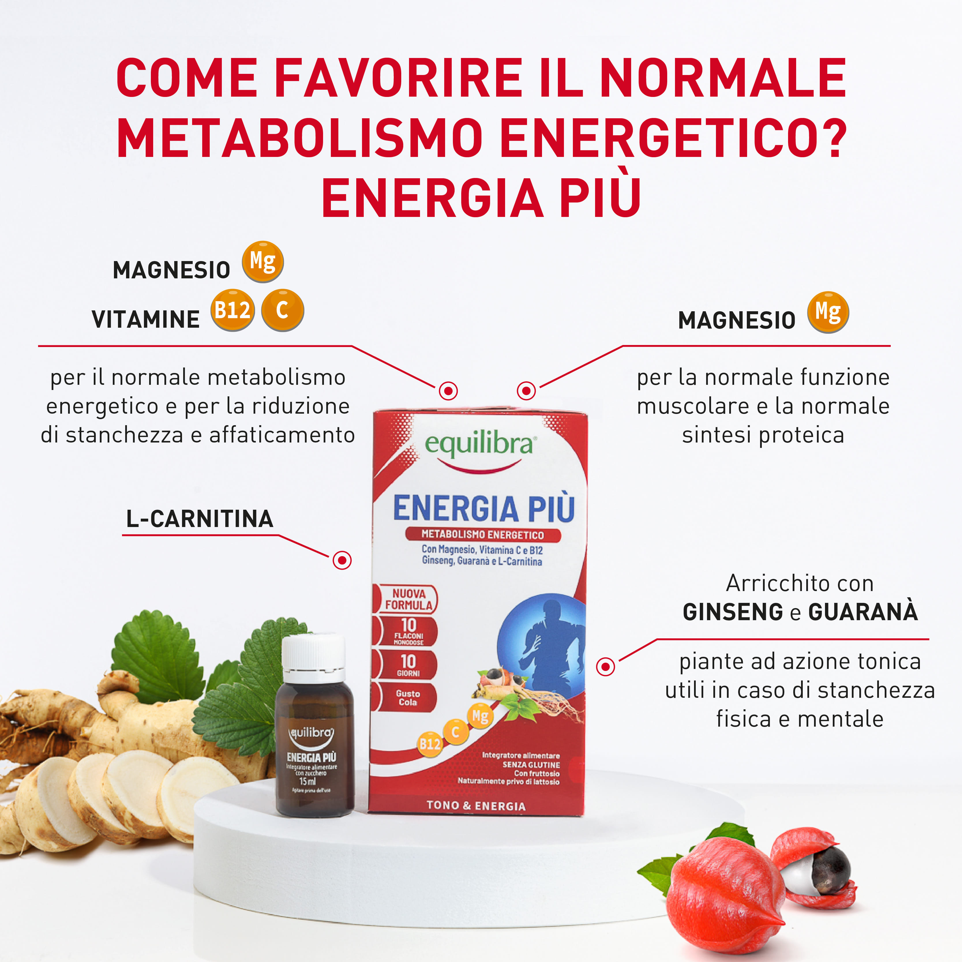 EQUILIBRA ENERGIA PIU' 10 FLACONCINI